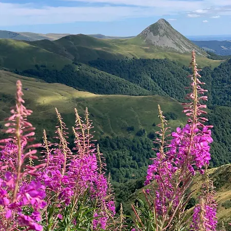 Lägenhet Des Milans Saint-Cirgues-de-Jordanne